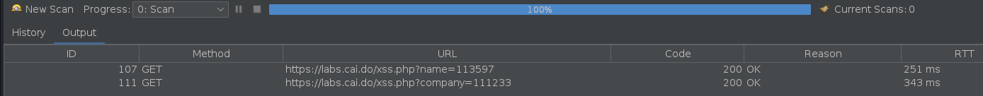 xssparamresult.png